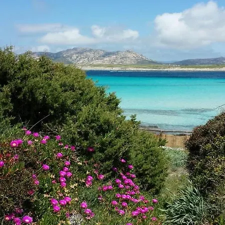Via Roma - 6 * Valledoria (Sardinia)
